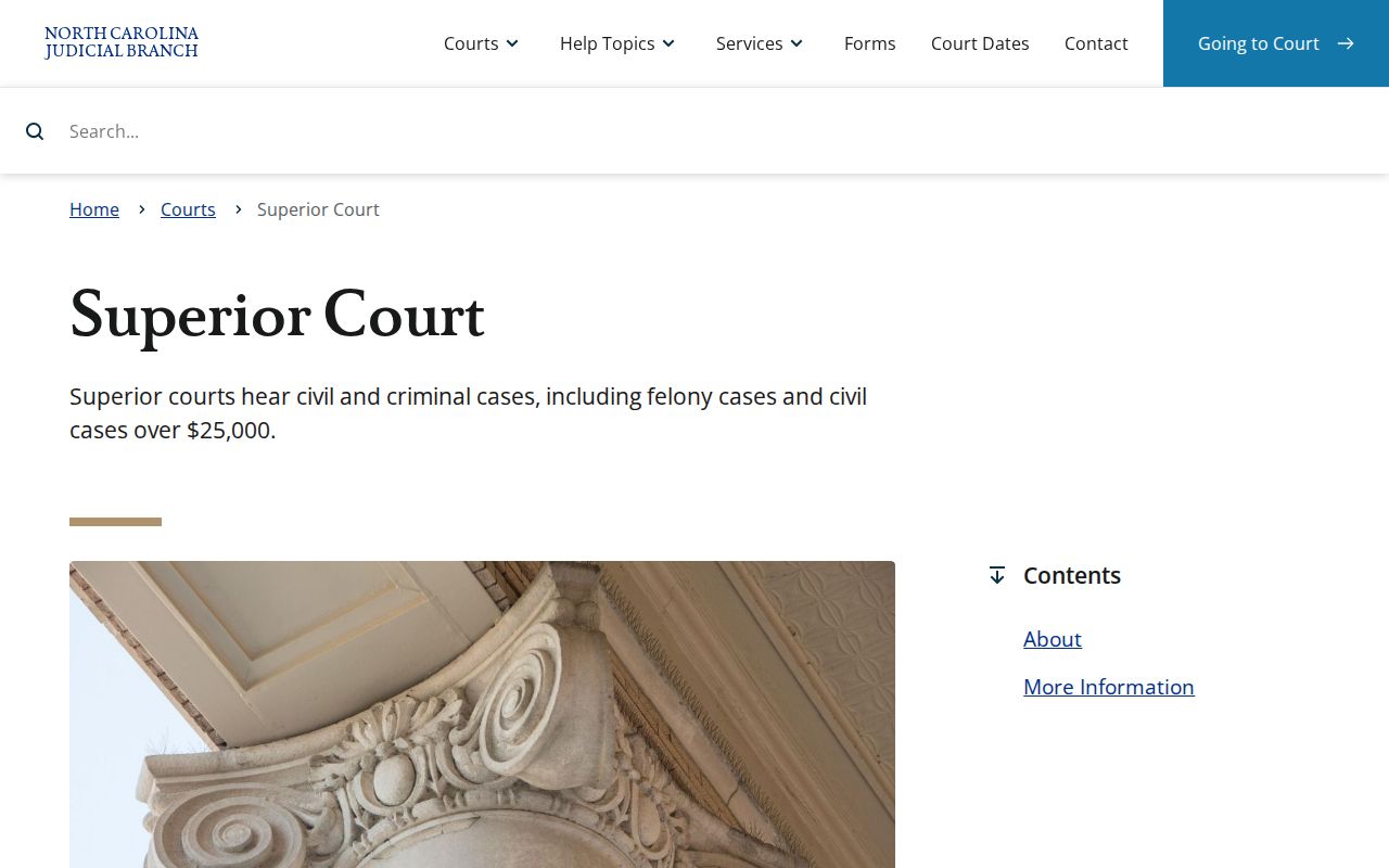 Davidson County criminal court case Superior Court information